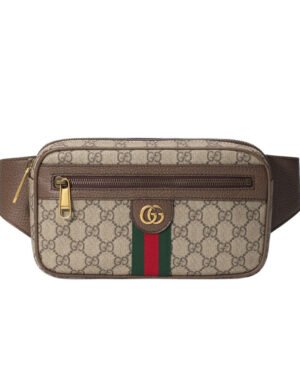 Gucci Ophidia GG belt bag 574796 Dark Coffee