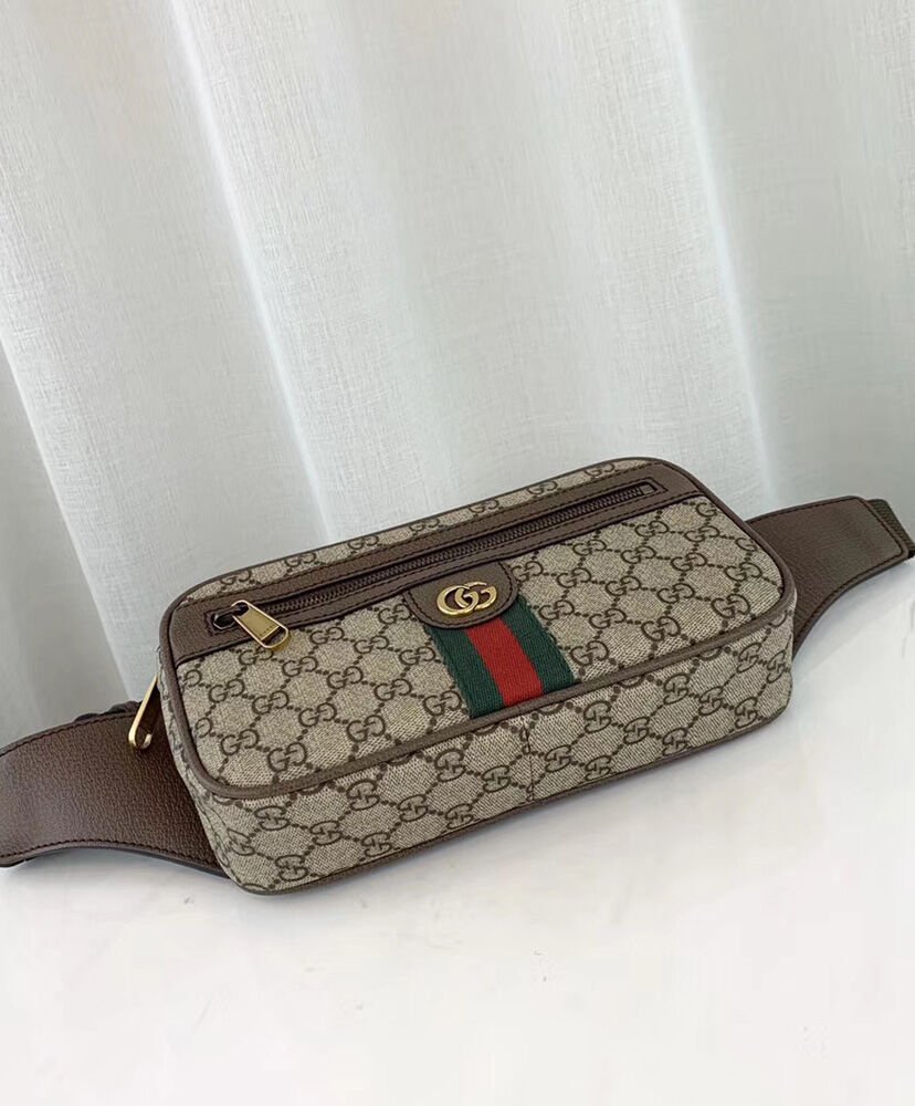 Gucci Ophidia GG belt bag 574796 Dark Coffee - Image 6