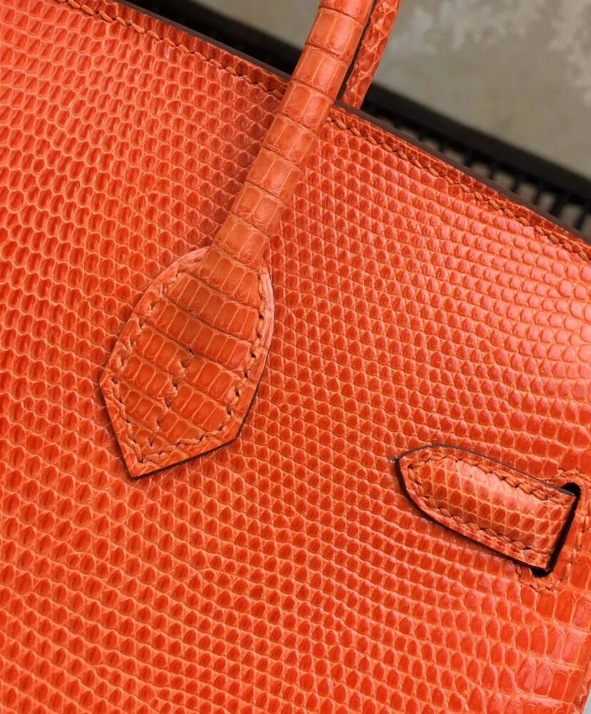 Hermes Birkin 25 Lizard leather Orange - Image 7
