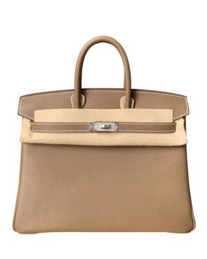 Hermes Birkin 25 Swift Leather Gray