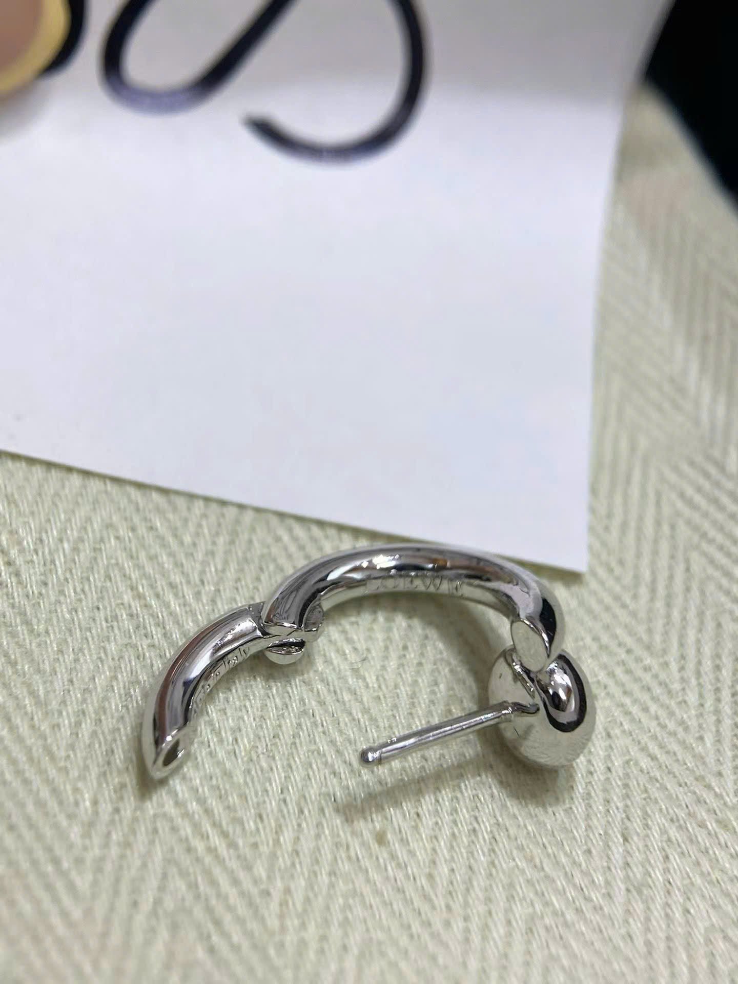 Loewe Earrings New Collections - Image 6