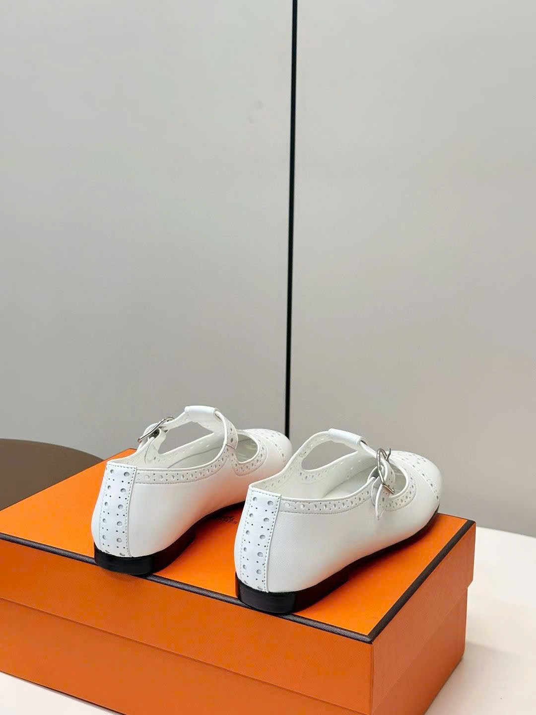 Hermès Nectar Ballet Flat Shoes - Image 7