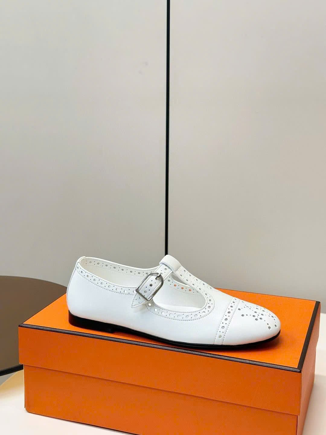 Hermès Nectar Ballet Flat Shoes - Image 9