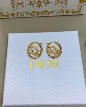 Dior Earrings New Collections